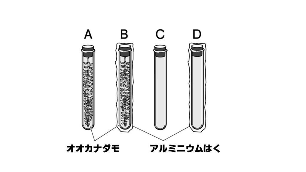 Lec12 重回帰分析 重回帰分析の解釈と適切な変数の個数 Yano Daiki Note