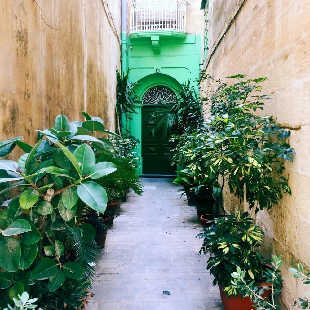 ドアとドアとドアとドアとドアが27枚 チェコ好き 和田真里奈 Note ドアとドアとドアとドアとドアが27枚 チェコ好き 和田真里奈 Note