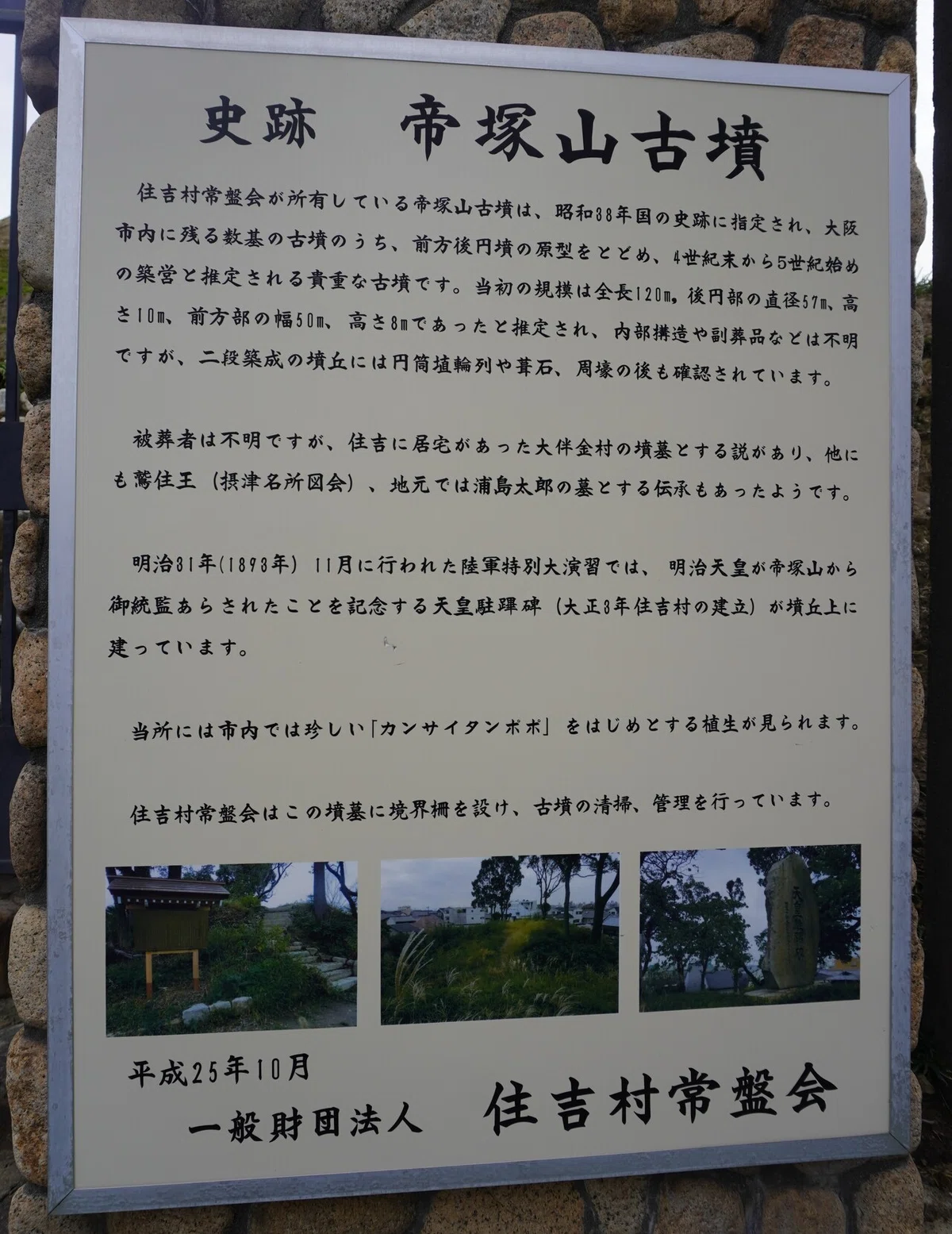 画像11