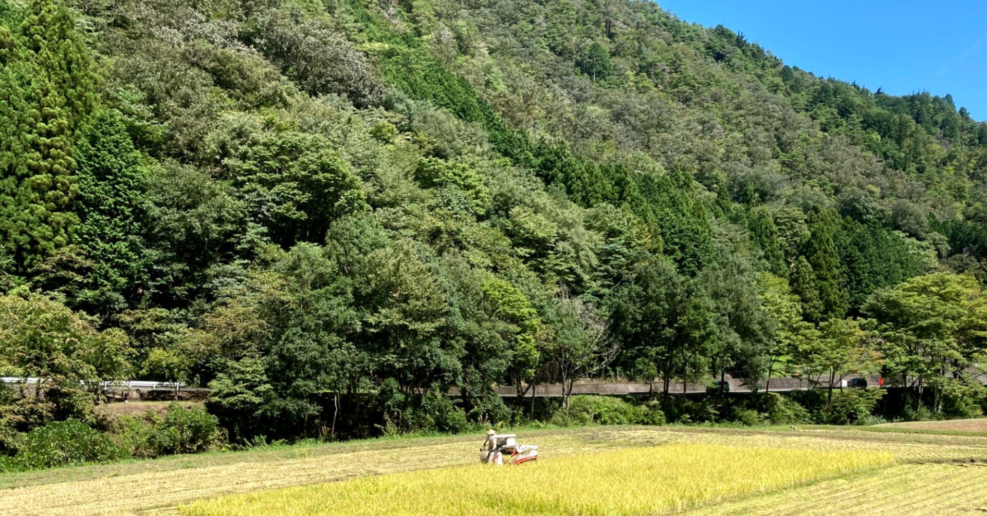 米作り2年目で無農薬栽培にチャレンジしたらいろいろやらかした話｜佐藤暁彦（里山リベラルアーツ主宰）