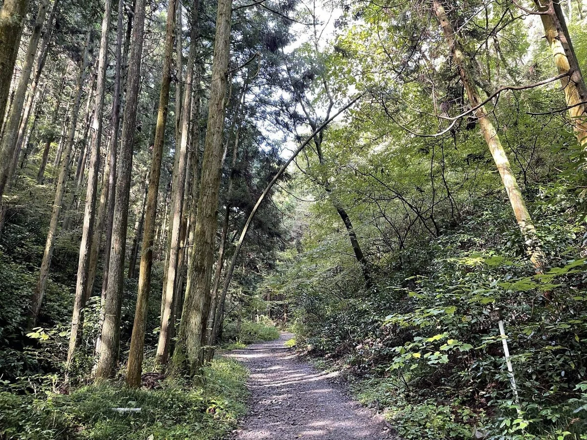 画像76