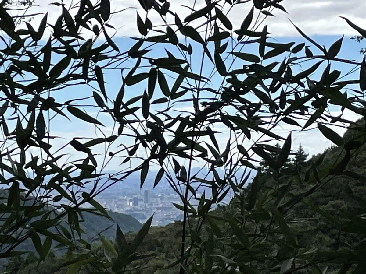 画像83