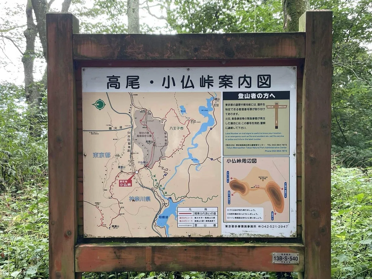 画像84