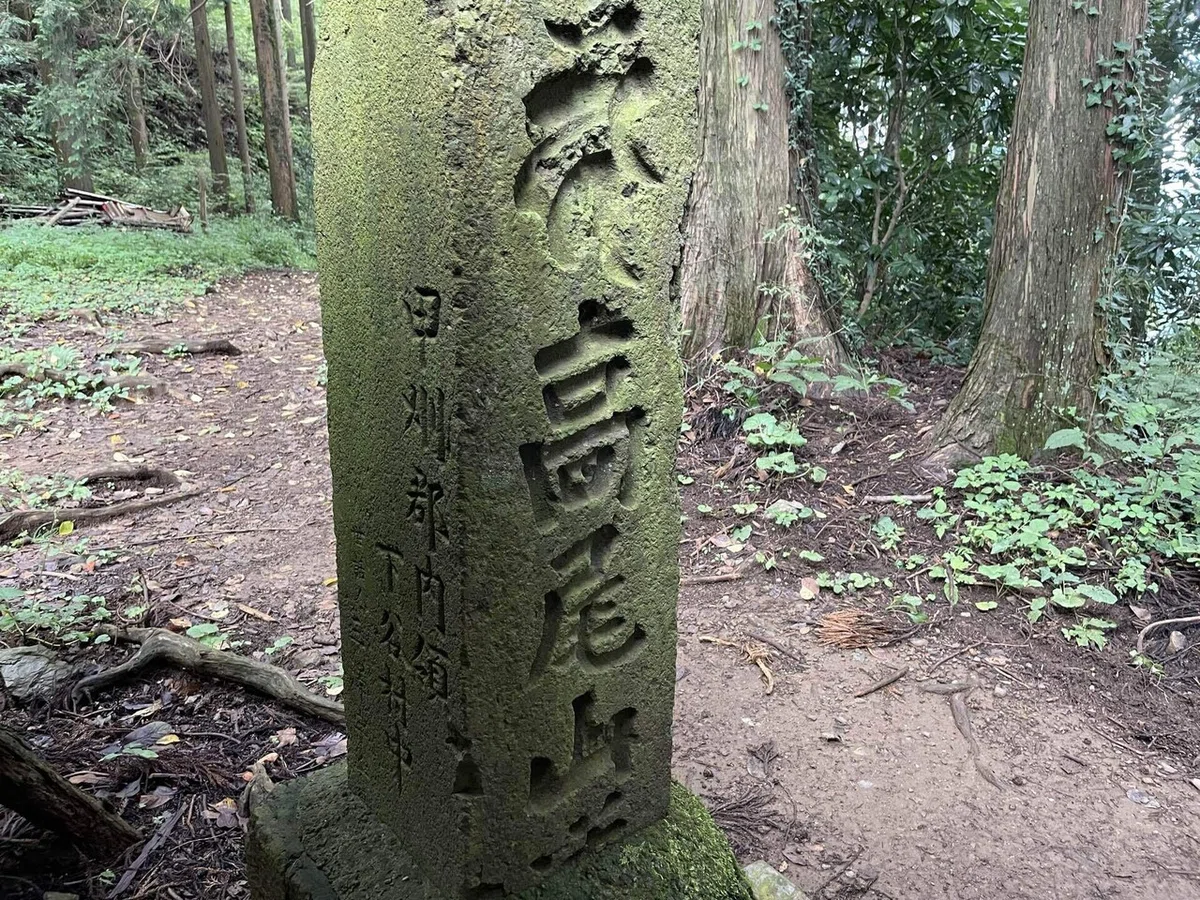 画像87