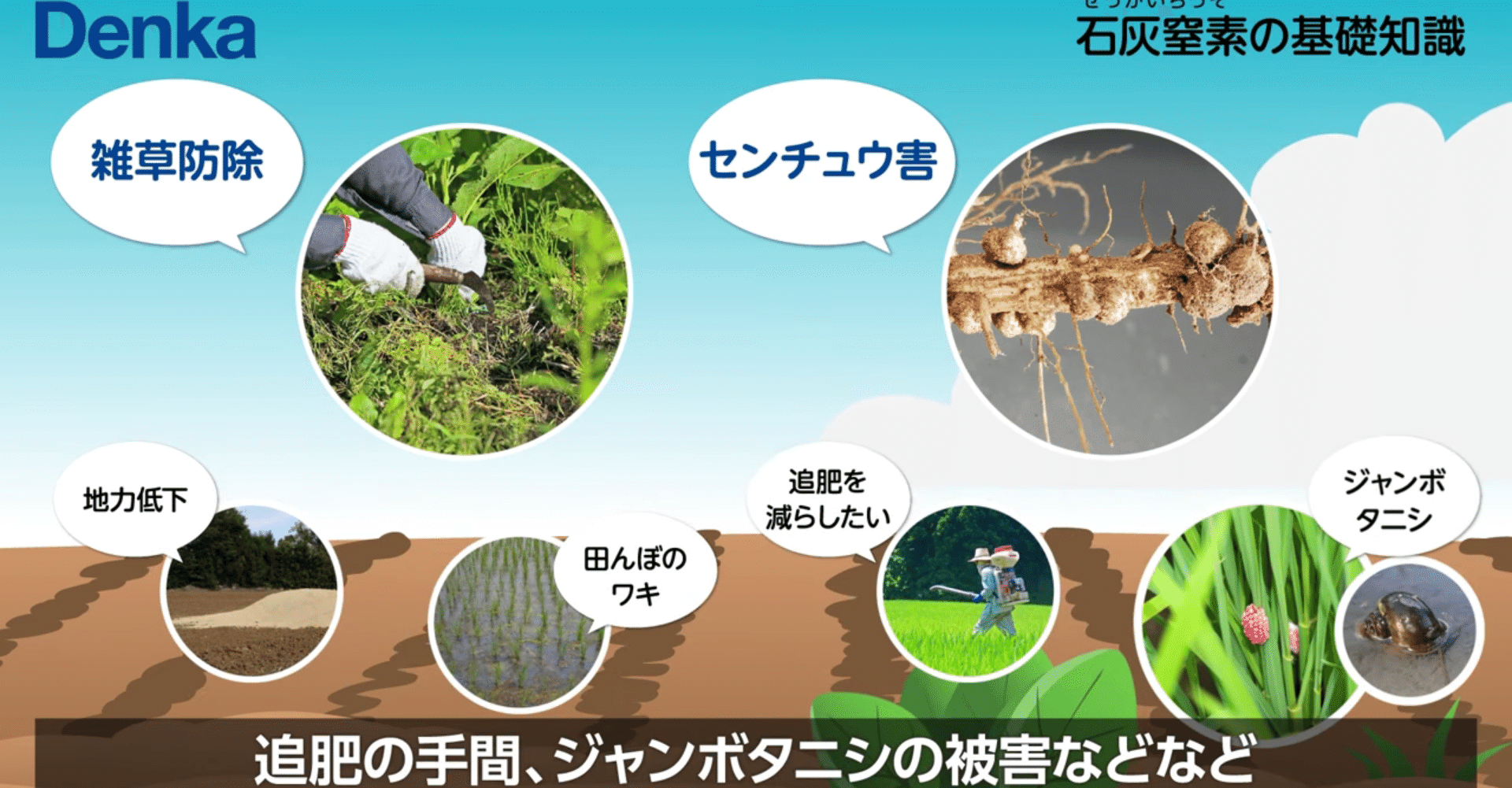 肥料 石灰窒素についてご紹介 井上寅雄農園 井上隆太朗 Note