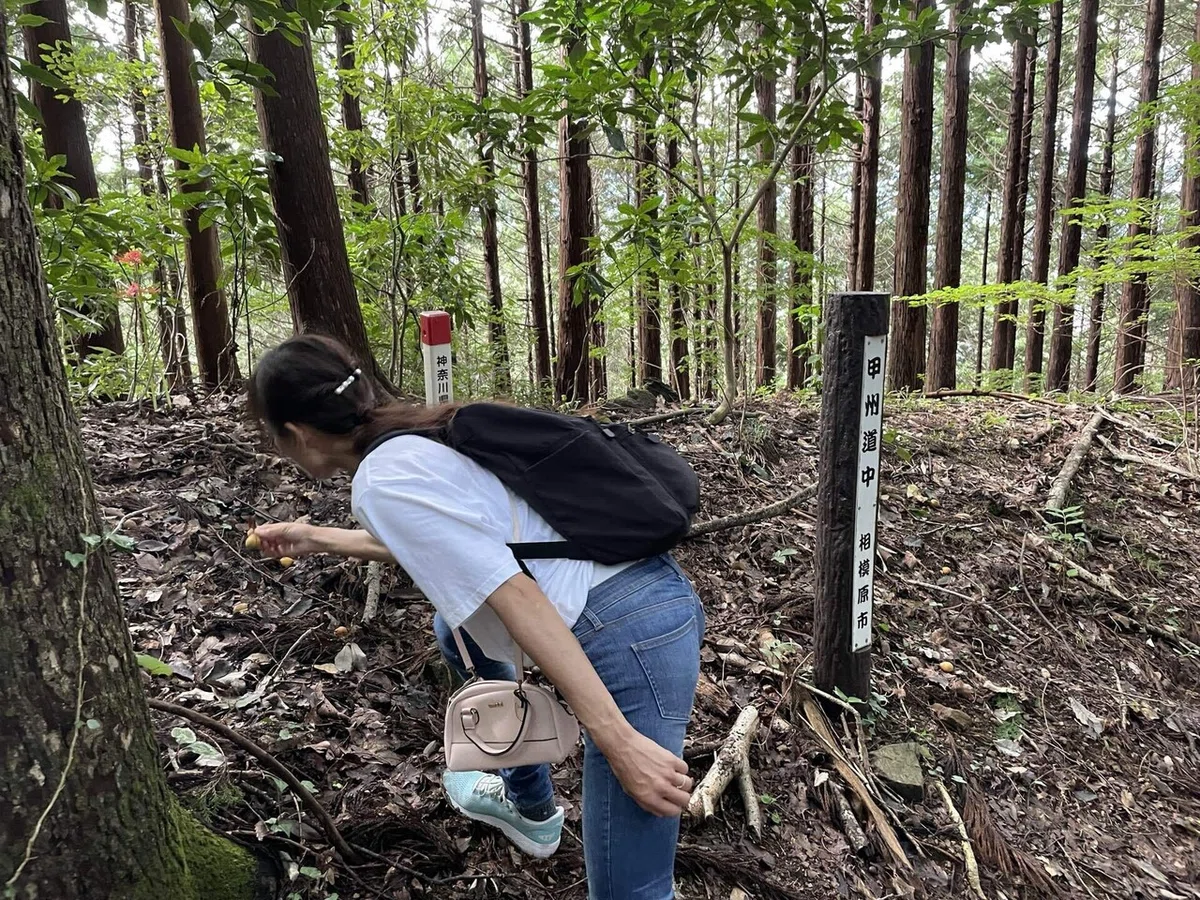 画像95