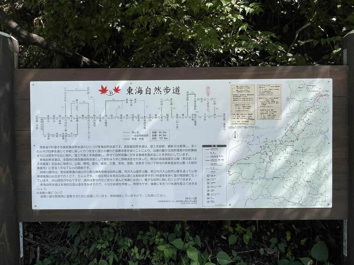 画像101