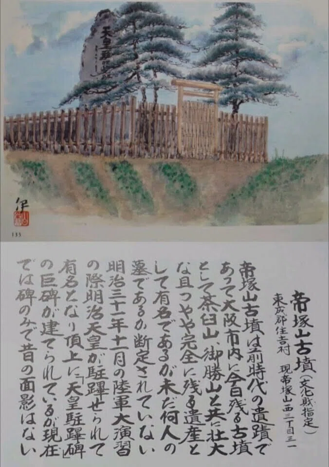 帝塚山古墳① (2)