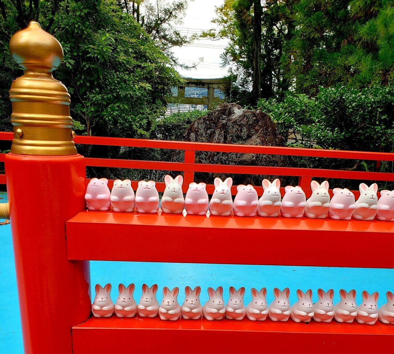 京都へ行こう 8 ひばりん Note