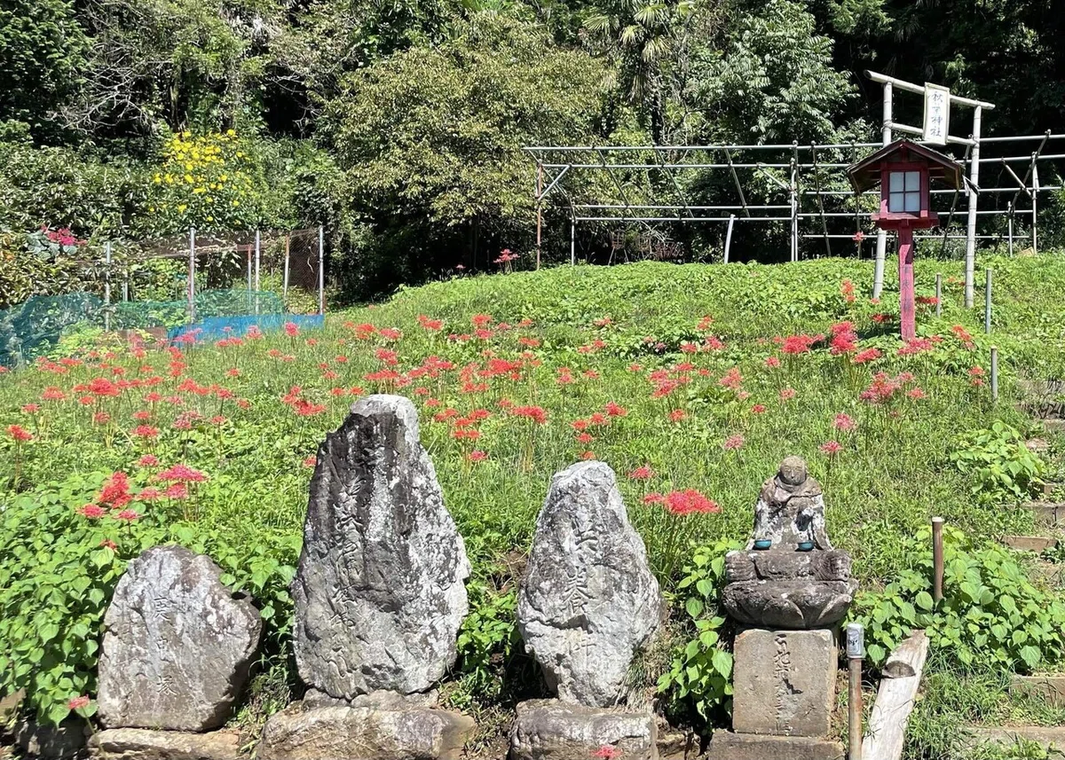 画像143