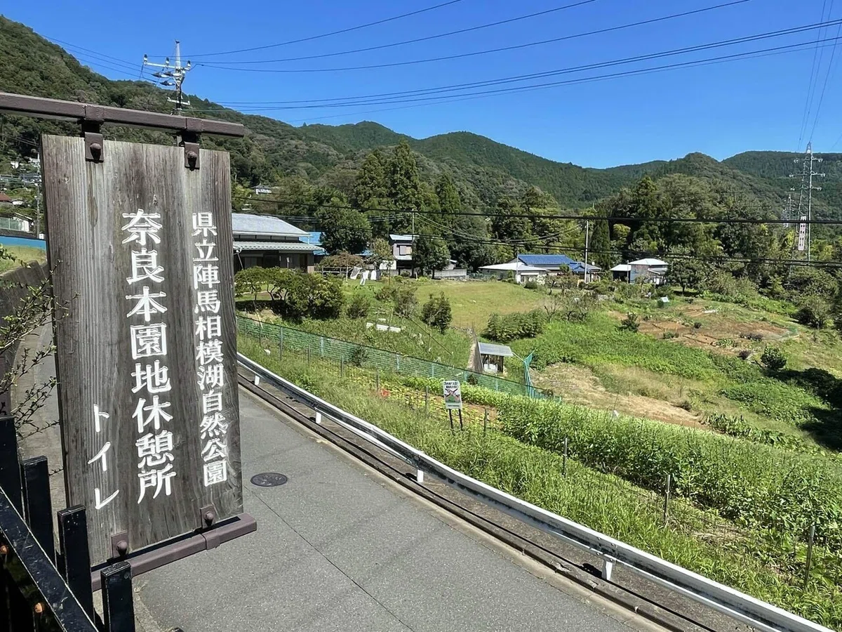 画像154