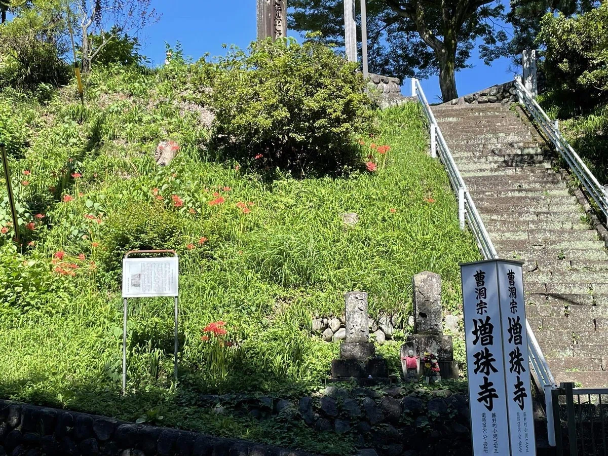 画像176