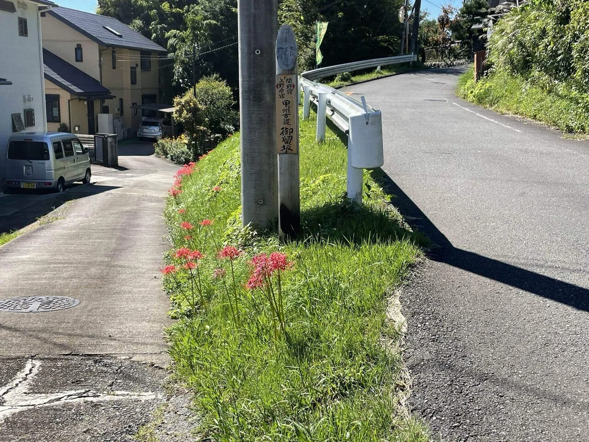 画像180