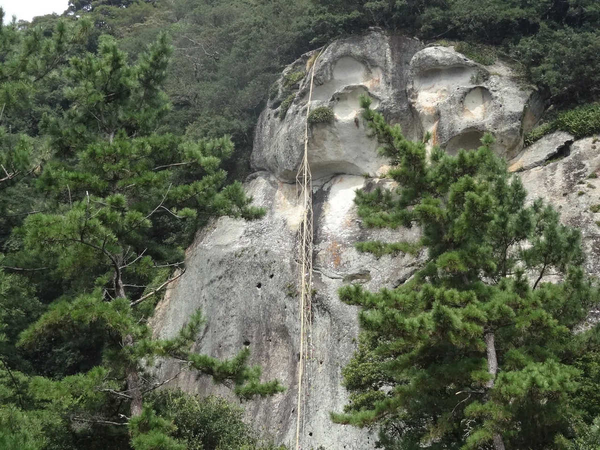 画像17