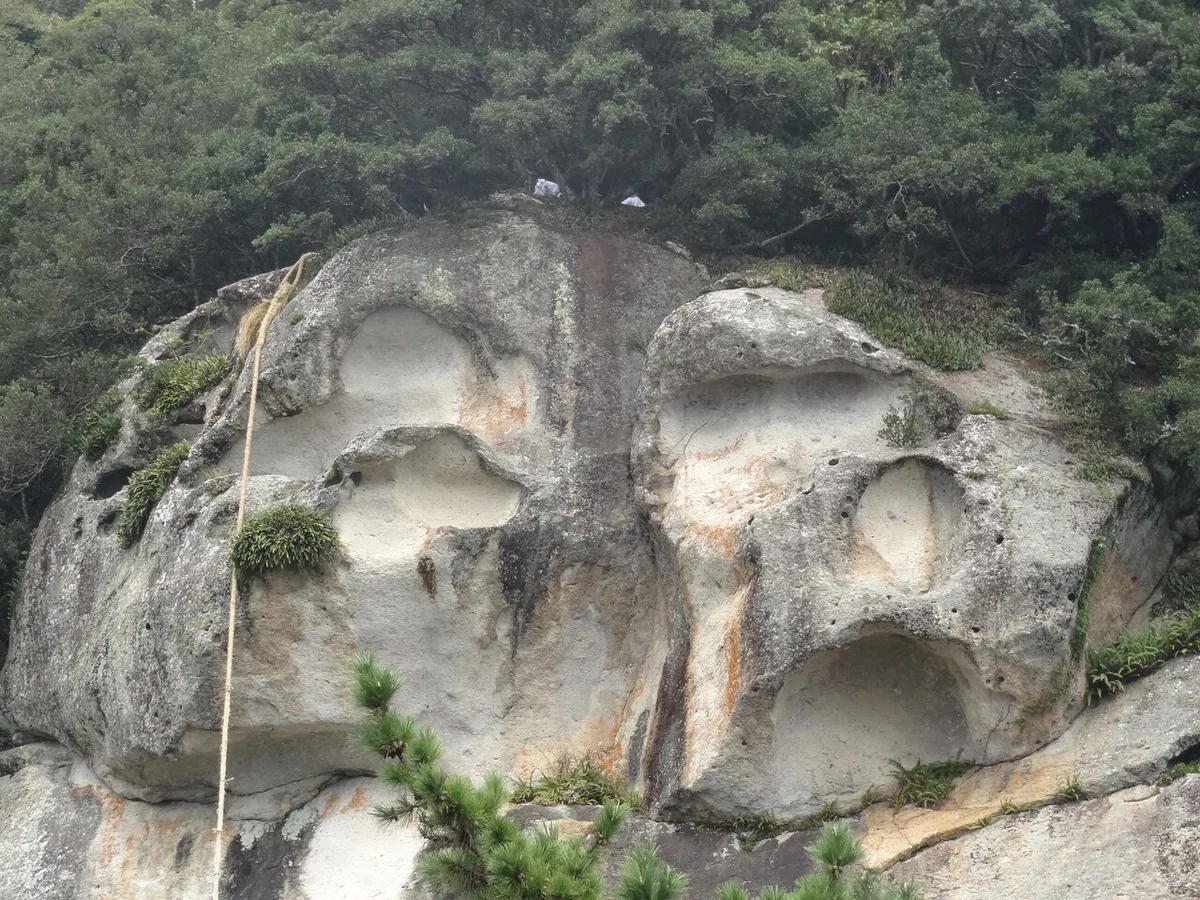 画像19