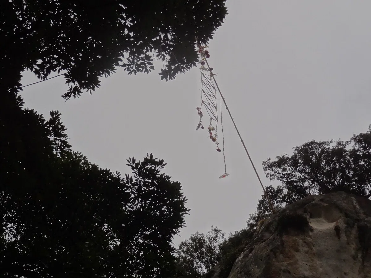 画像24