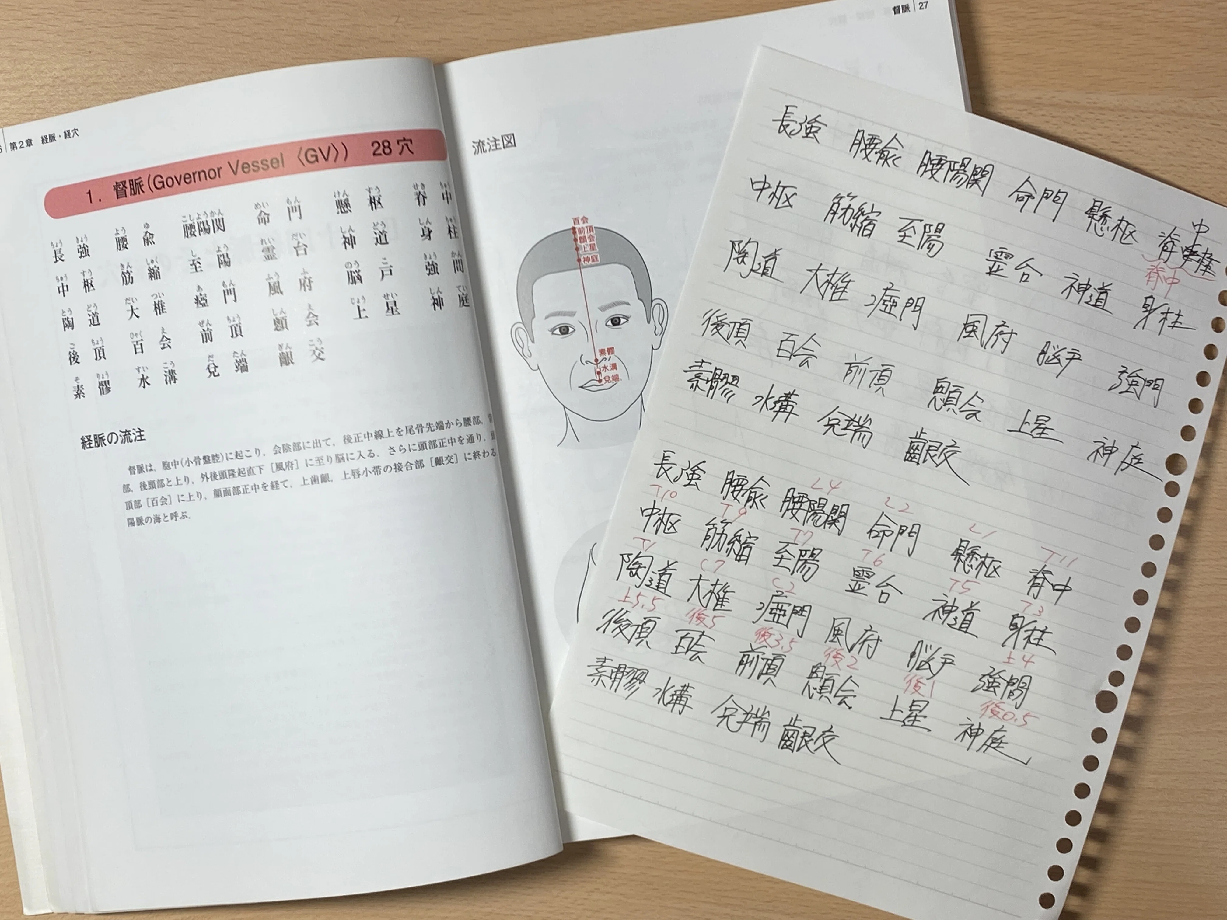 経絡経穴概論】経穴の勉強法 ～ノート編～ 経穴を覚えるとき、私は裏紙