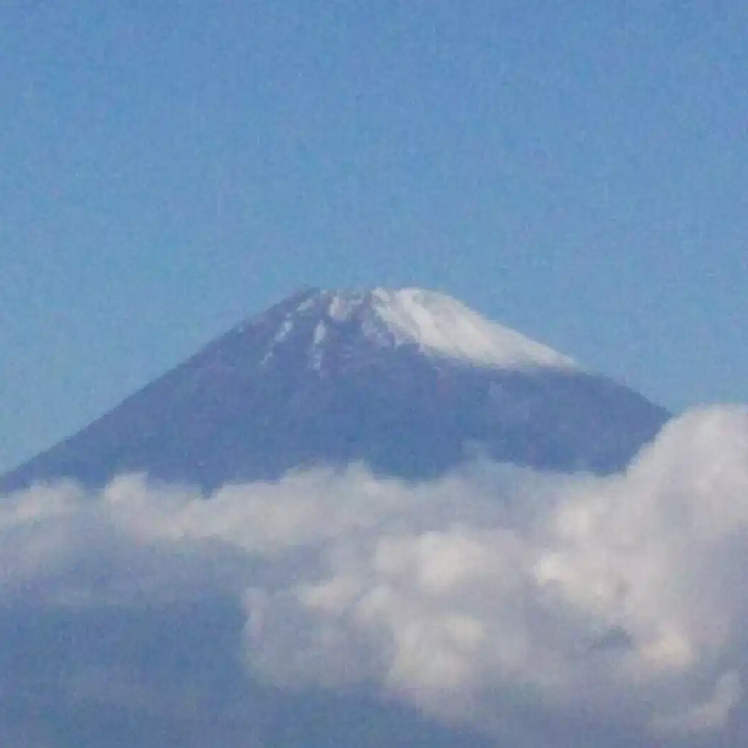 梨