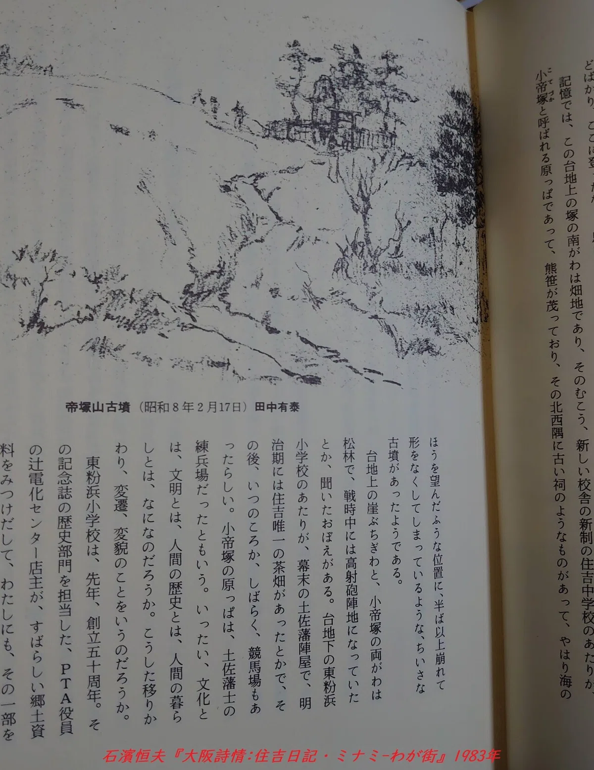 画像12
