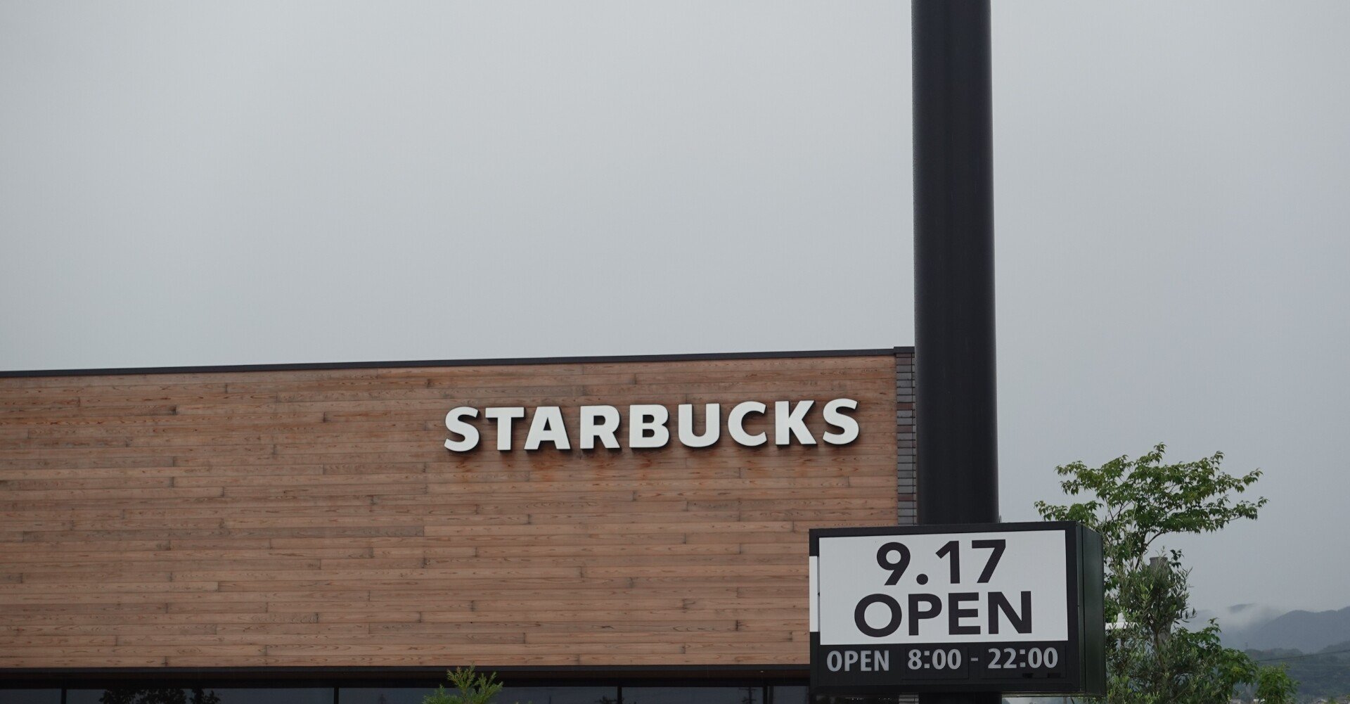 145c2929f5c54dd85e88ddd5a64201