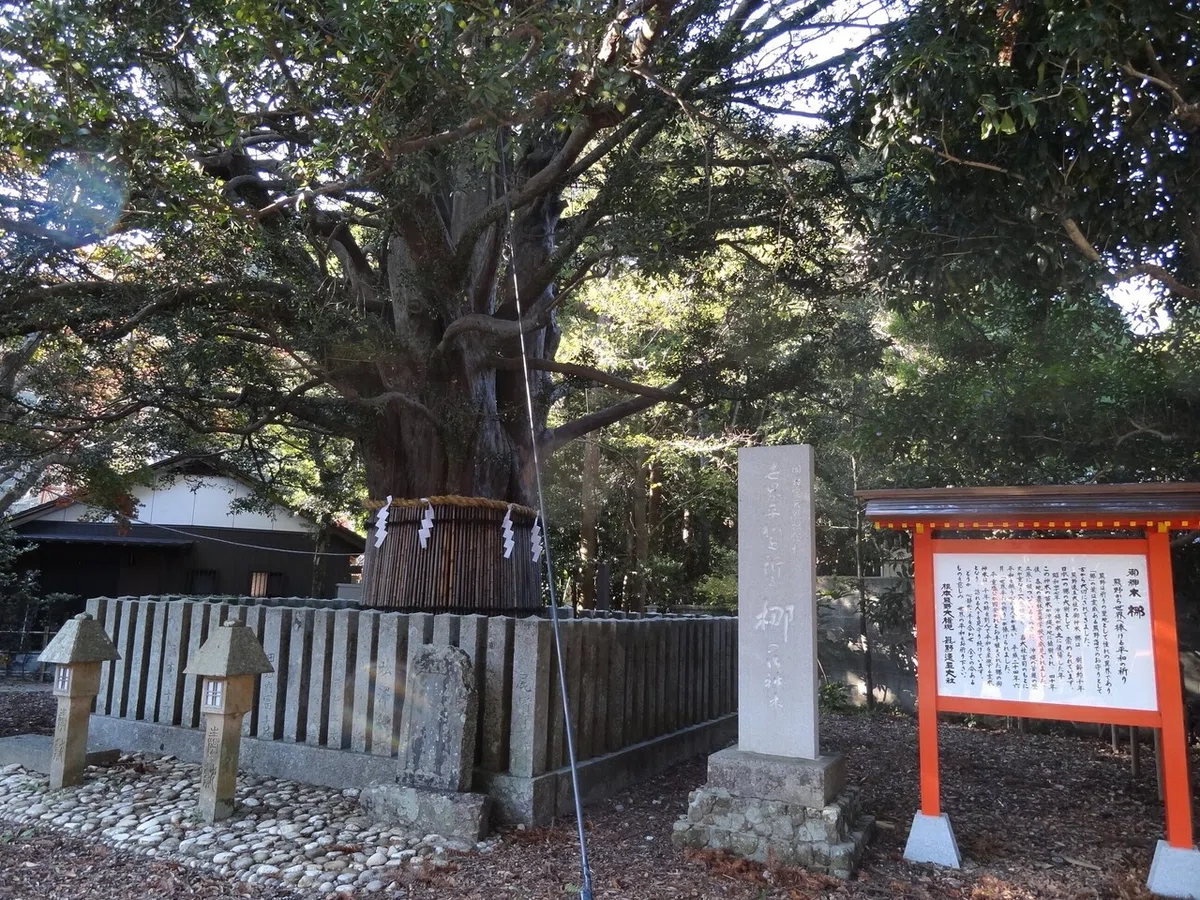 画像36