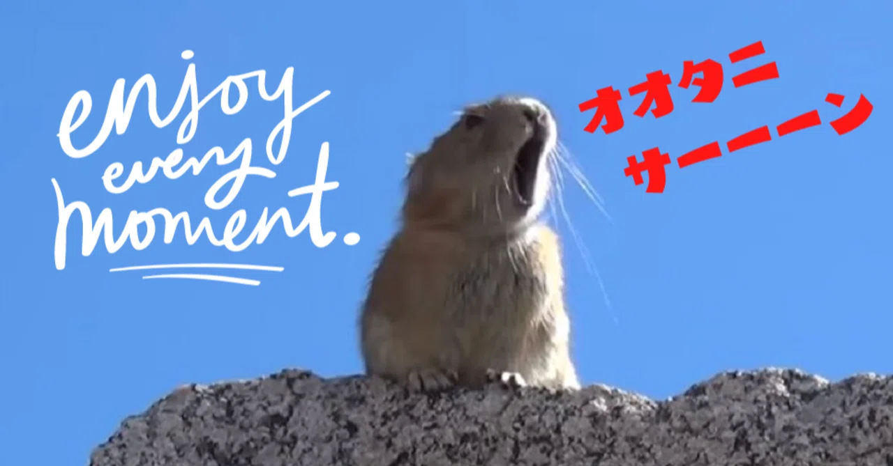 Lraough/ラフ※お休み回※】大谷翔平を応援しに、ロサンゼルス