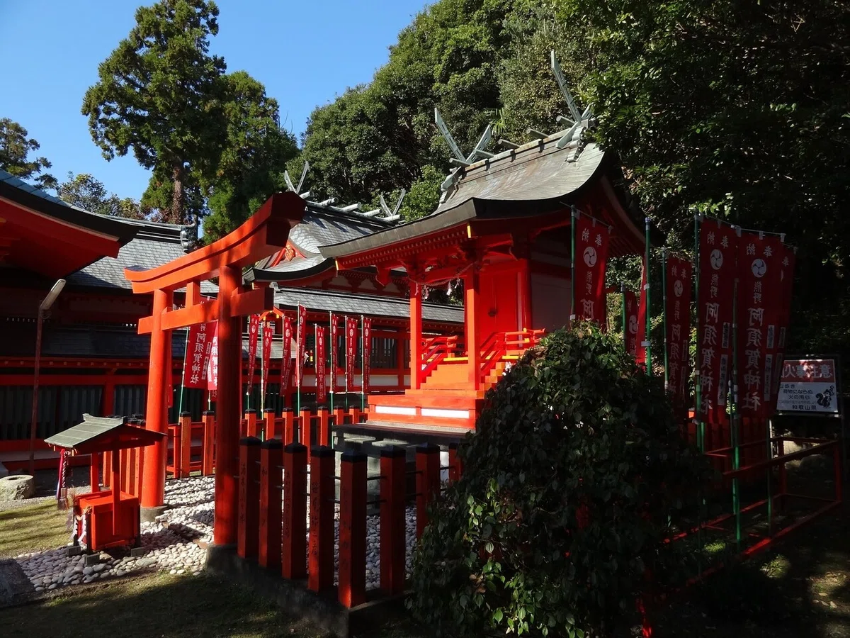 画像41