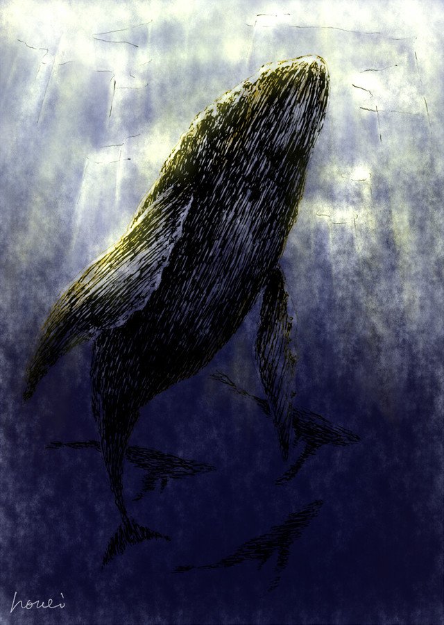 海。－ザトウクジラの遊泳－