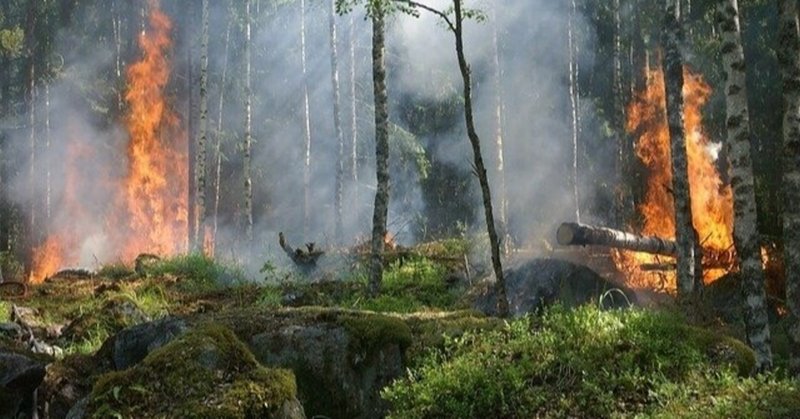 山火事 の新着タグ記事一覧 Note つくる つながる とどける