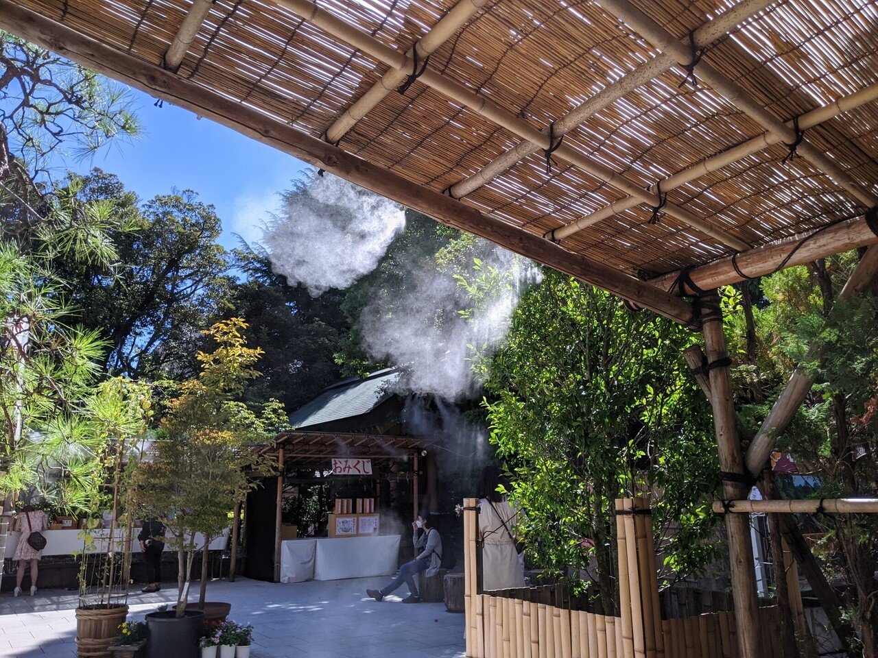 画像5