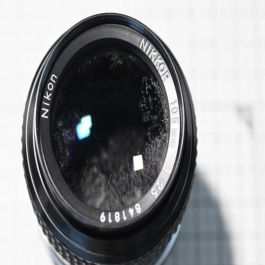 New Nikkor 105mm F2.5 を整備して，スナップ写真を撮ってみた｜ザブ