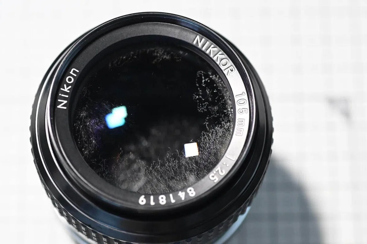 New Nikkor 105mm F2.5 を整備して，スナップ写真を撮ってみた｜ザブ