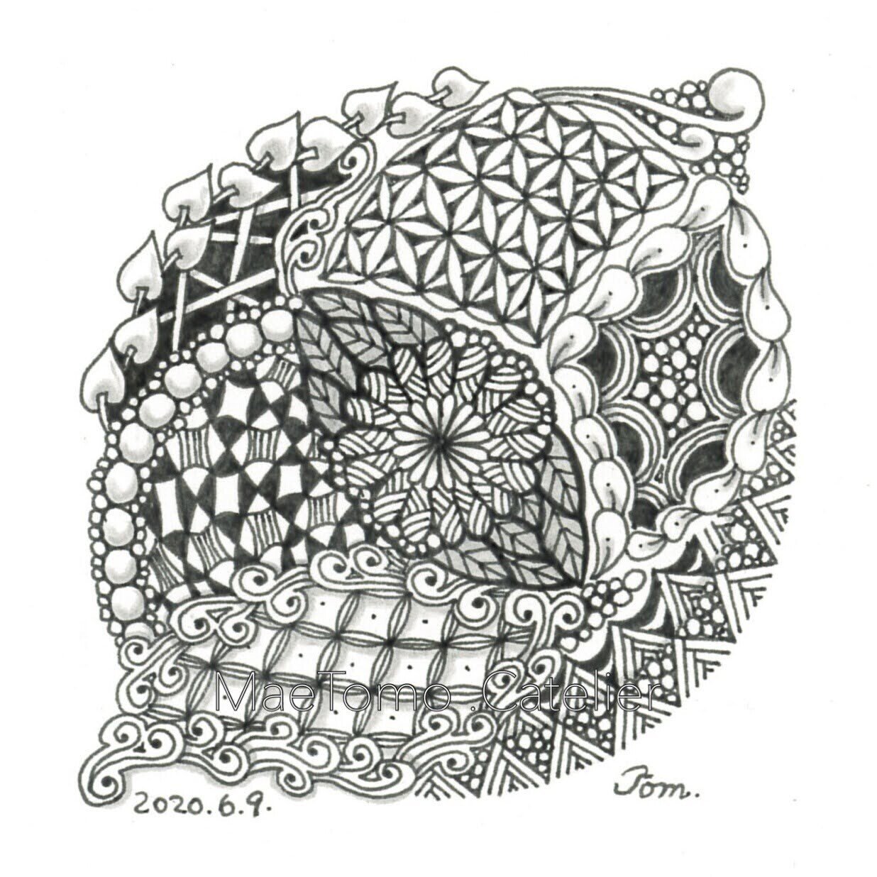 ゼンタングルパターン11〜Zentangle｜MaeTomo＠ペット・アニマル