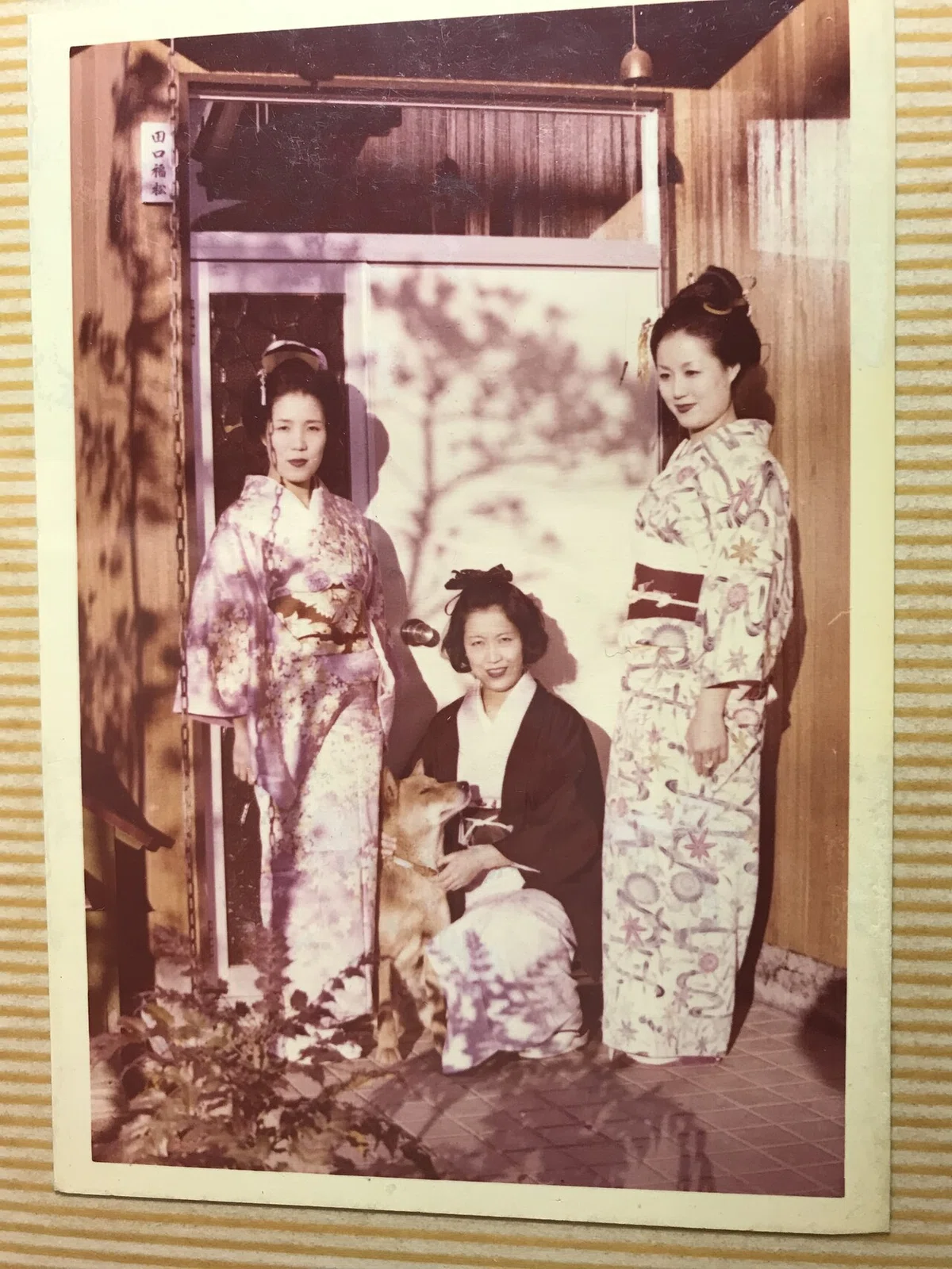 画像9