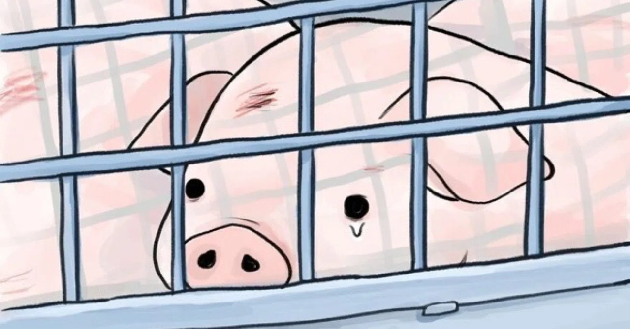 4コマ漫画 動物たちの悲しい現実 泣く豚 ノリノリ Note 4コマ漫画 動物たちの悲しい現実 泣く豚 ノリノリ Note