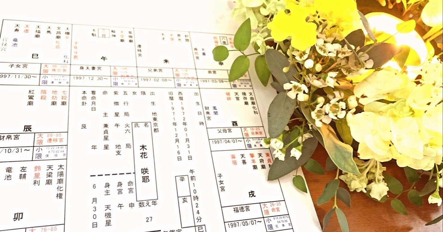 【鑑定書付き】紫微斗数で占うあなた本質と適職鑑定