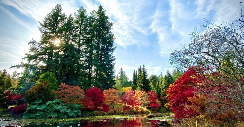 車椅子でバスに乗るコツ の新着タグ記事一覧 Note つくる つながる とどける