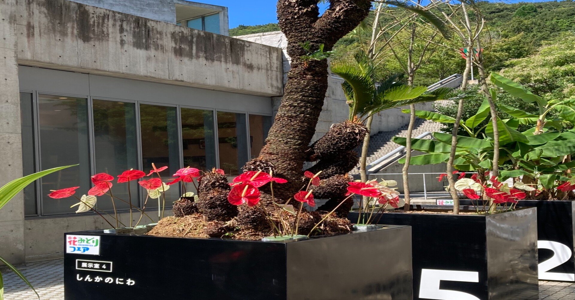 ジュラシックな植物が見られる植物館｜ししよしよし