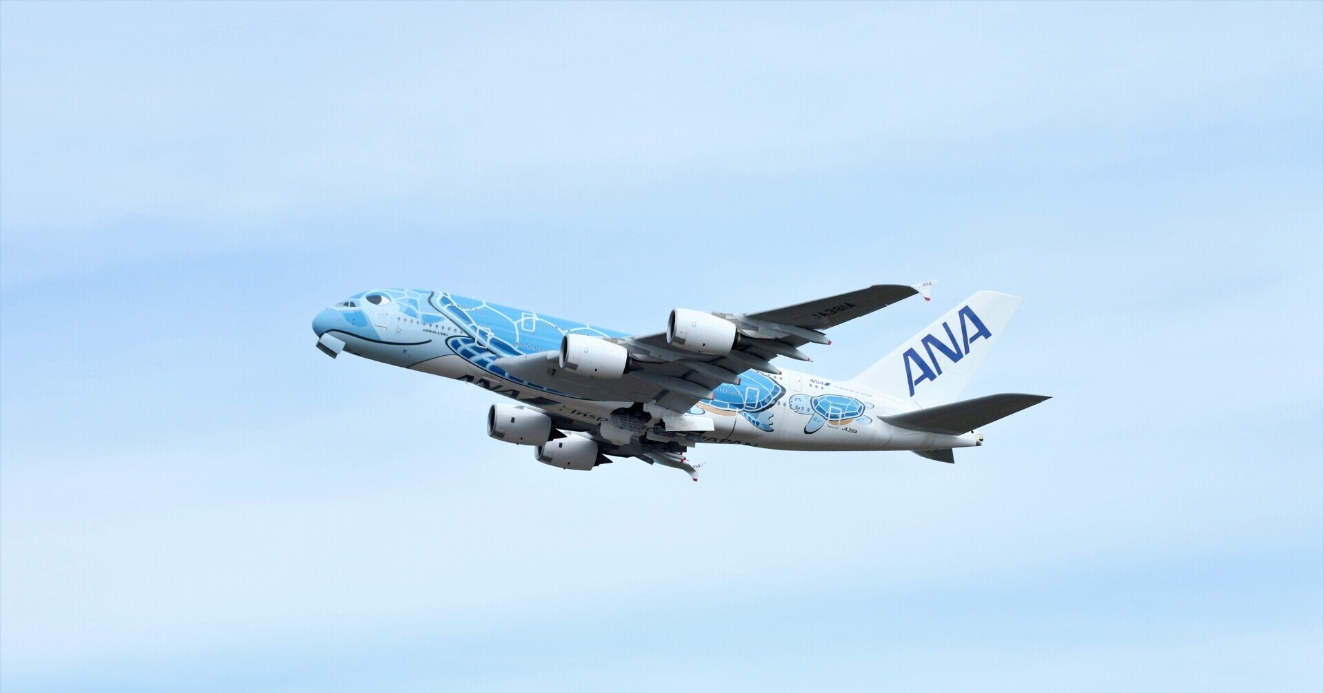 新千歳空港でANAのホヌを撮った①｜ヨッシー宙船