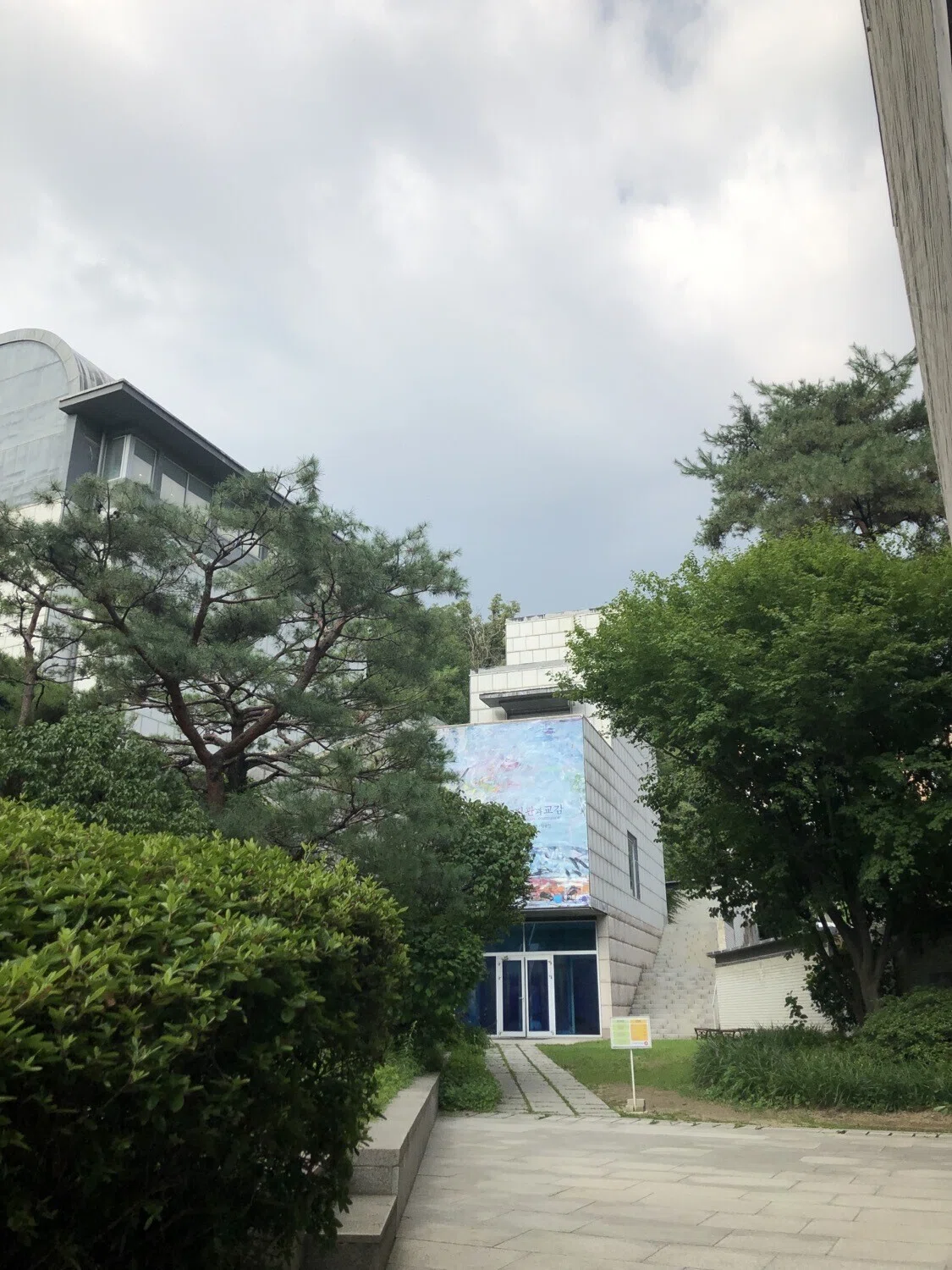 画像8