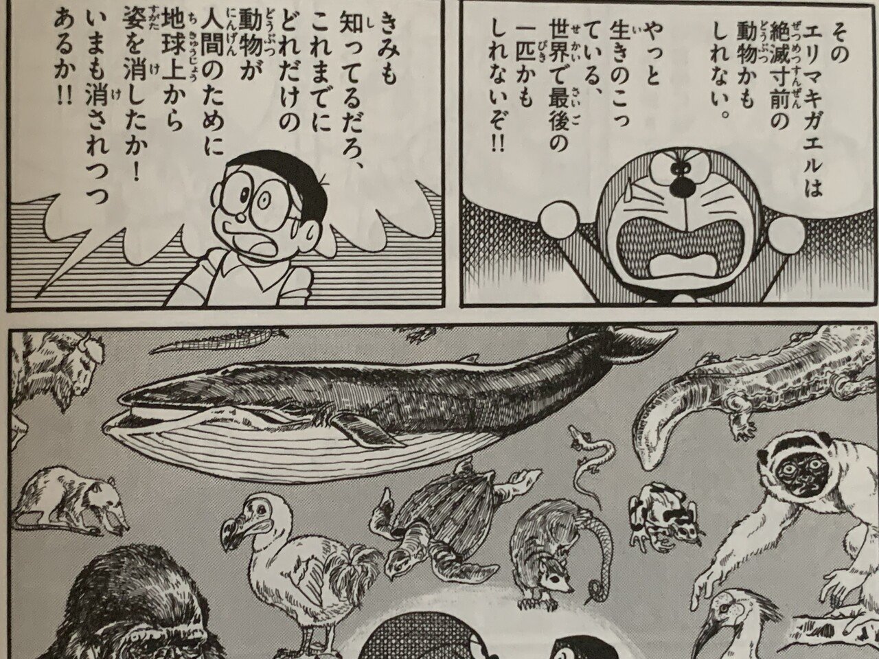 小人族を人間から救い出せ ドンジャラ村のホイ グリーン ドラえもん 藤子ｆノート Note