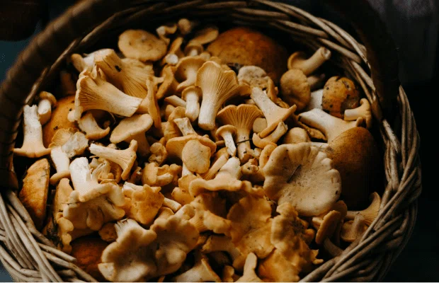 note文中写真 (35)