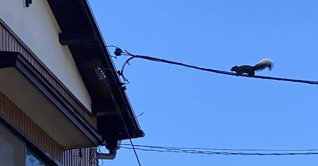 騒音と静寂｜kerotone