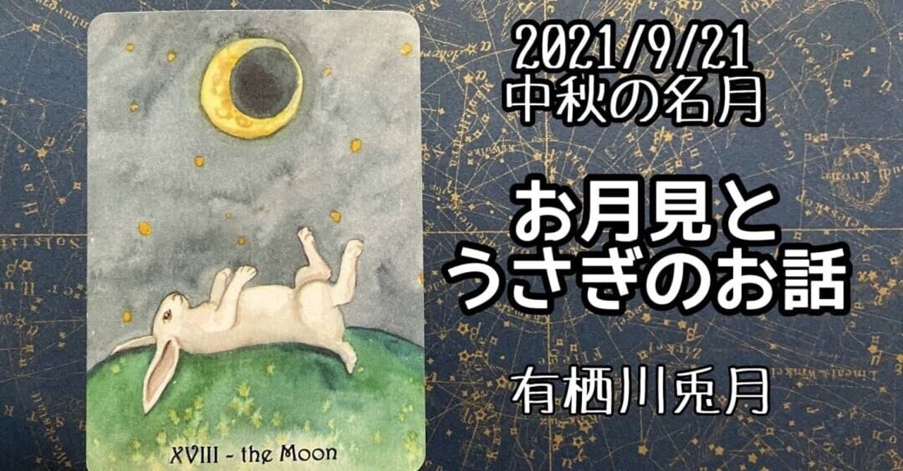 rectangle_large_type_2_507d4aa