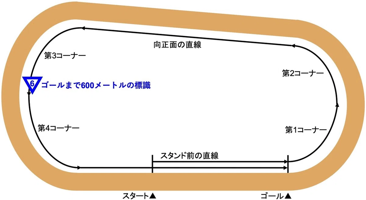 コース(中京ダ)