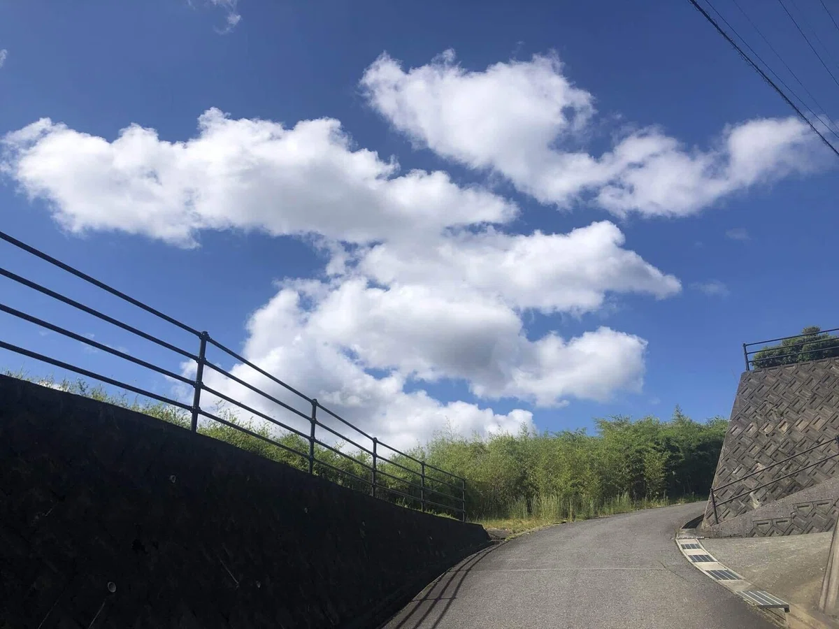 画像21