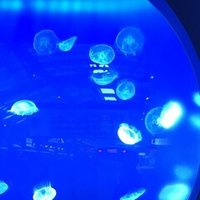 日にち薬ってのは 嘘だよ 失恋女子は 覚えといて 笑 ヒスイ 元カレなんかぶっ飛ばせ 小粋でポップな恋愛小説家 強運女子の爆笑ブログ Note