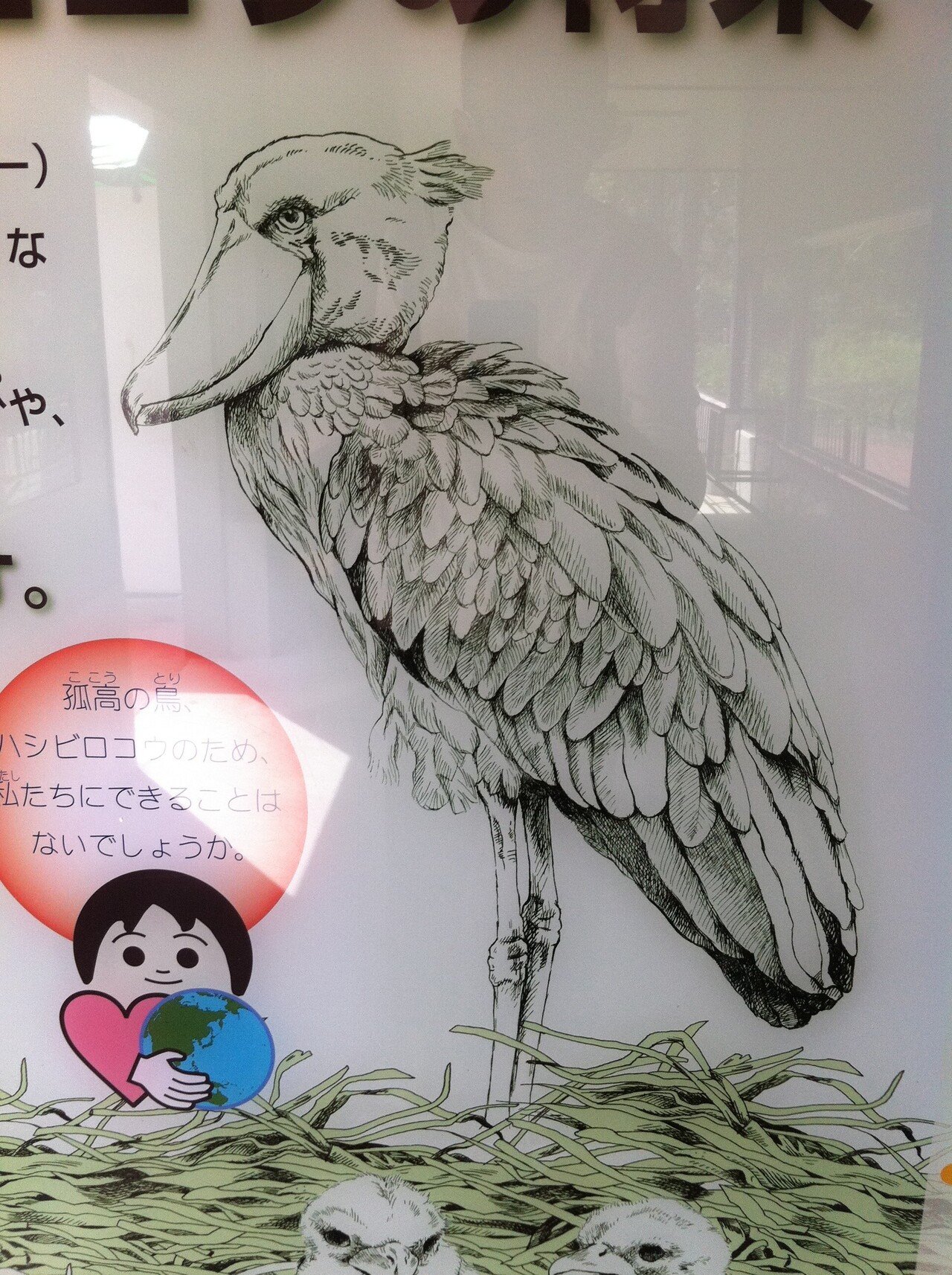 コジマトペとハシビロコウ｜珈琲・ごはん・おやつ【コジマトペ ®】岡崎市