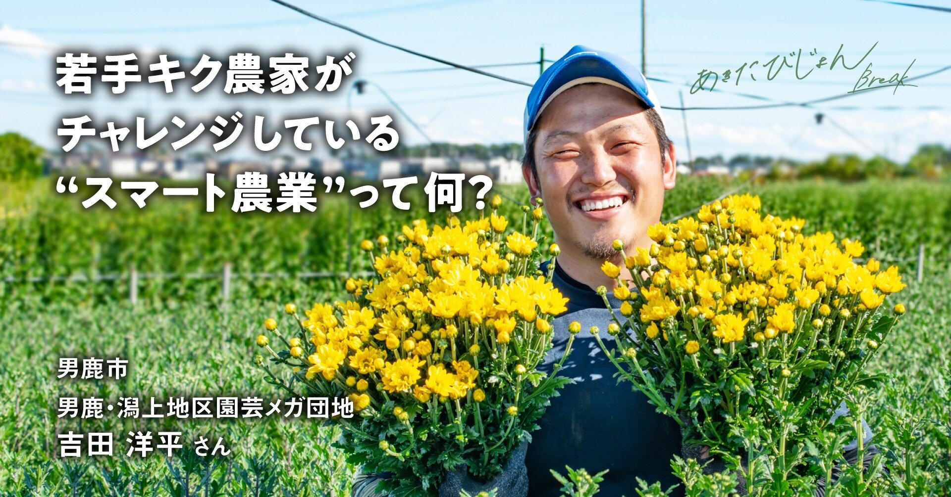 若手キク農家がチャレンジしている