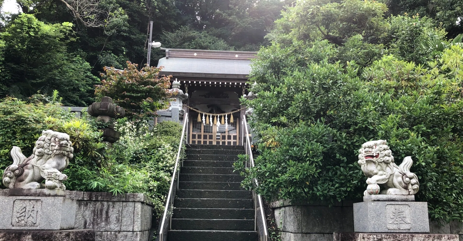 熊野 神社 市民 の 森